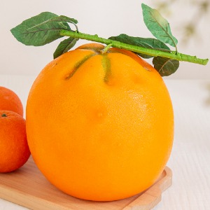 특대 오렌지 모형